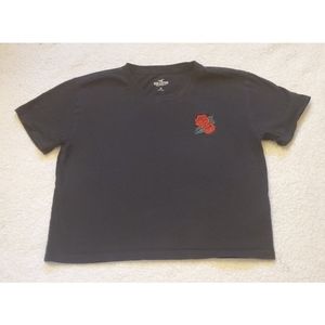 Hollister Cropped VSCO style short sleeve T-shirt